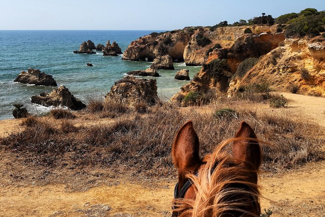 Algarve - Exclusive Horseriding in Portimao (No Experience Required) - Meeting Point and Logistics