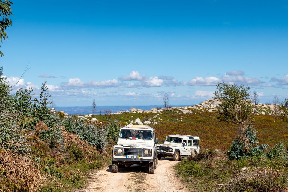 Algarve: Full-Day Guided Sightseeing Tour With Lunch - Tour Experience