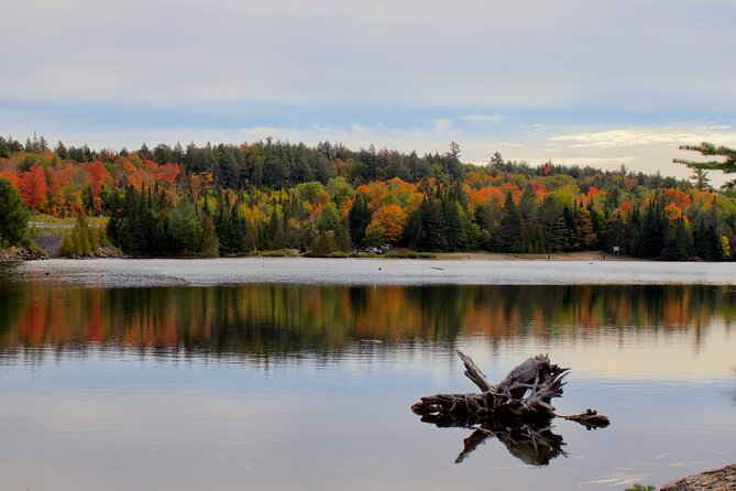 Algonquin Provincial Park Full Day Trip - Hiking Trails Highlights