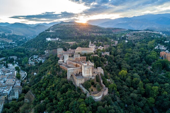 Alhambra Private Tour and Skip the Line Ticket and Official Guide - Language Options and Overview