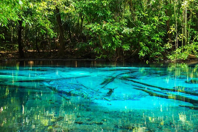 All Day Krabi Jungle Tour (Hot Spring Water, Emerald Pool, Tiger Cave Temple) - Inclusions