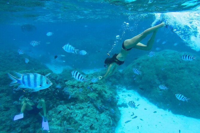 All-Day Small-Group Snorkeling Excursion in Bora Bora - Tour Highlights