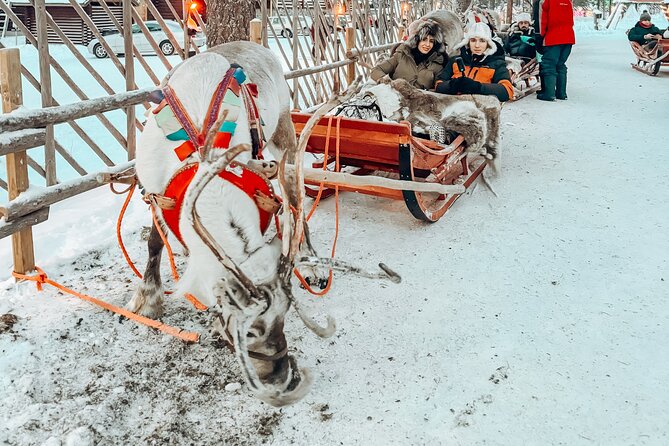 All in One Santa Claus Village With Dog Sledding Adventure - Viator Help Center Support