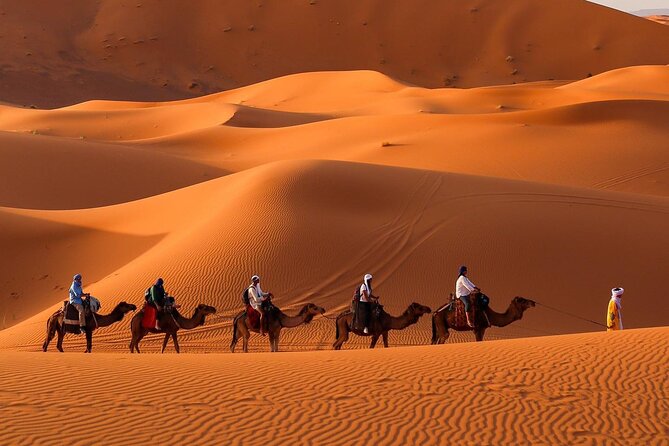 All-Inclusive 2-Day Luxury Desert Trip From Fes to Merzouga - Customer Reviews