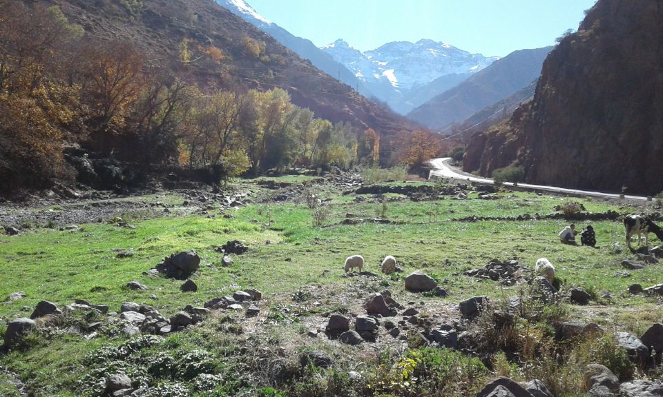 All-Inclusive 2 Days Hiking in the Atlas Mountains - Booking Information
