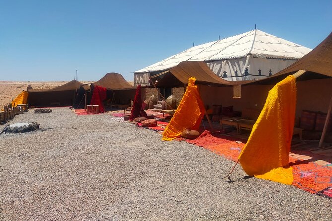 All-Inclusive Desert Experience in Agafay From Marrakech - Customer Reviews and Ratings