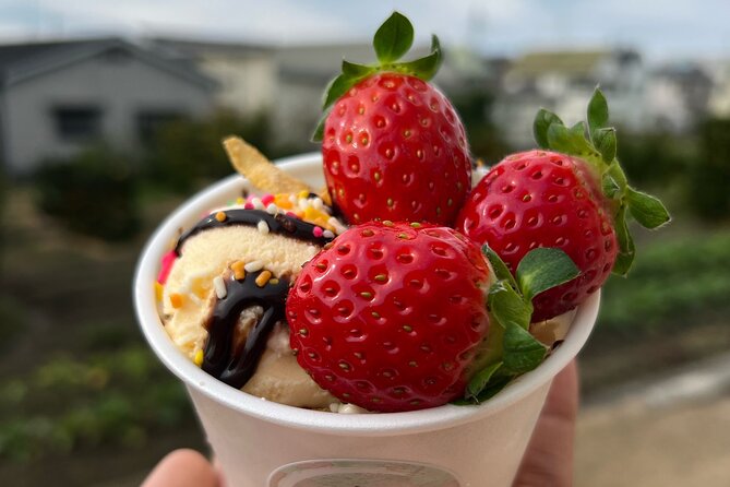All You Can Eat Strawberry Picking in Izumisano Osaka - Time Slots and Reservations