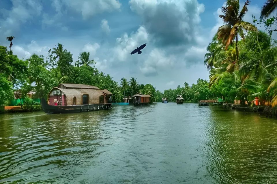 Alleppey Shikara Boat Ride - Boat Ride Exploration