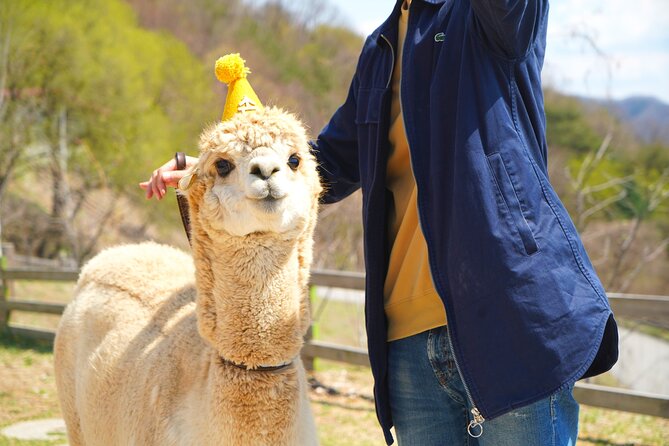 Alpaca World Tour With Nami Island & Optional Railbike or Garden - Nami Island Visit