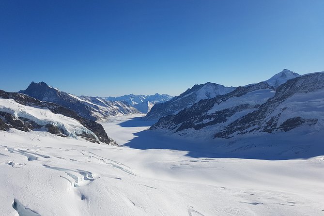 Alpine Majesty: From Basel to Jungfraujoch Exclusive Private Tour - Reviews From Viator and Tripadvisor