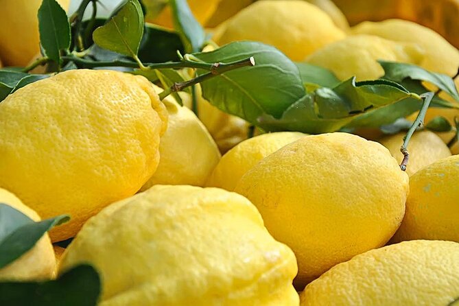 Amalfi Coast - Maiori: Path of Lemons, Tour With Tasting - Itinerary Highlights