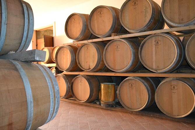 Amarone Della Valpolicella Wine Experience - Meet the Vogadori Family - Family Vineyard Tour Highlights