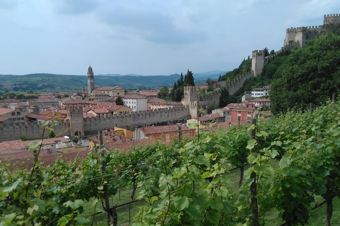 Amarone-Soave Wine Tour. Visit Verona. From Venice - Cancellation Policy Details