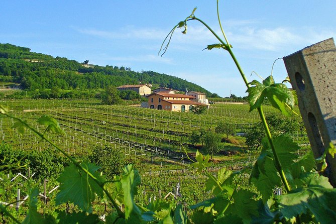 Amarone-Valpolicella Wine Tour - Visit Verona. Half Day. From Venice - Booking and Cancellation Policy