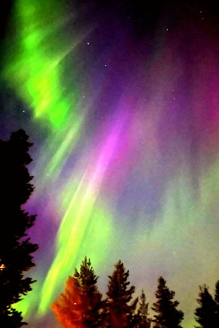 Amazing Aurora With BBQ in the Best Spot in Rovaniemi! - Cancellation Policy