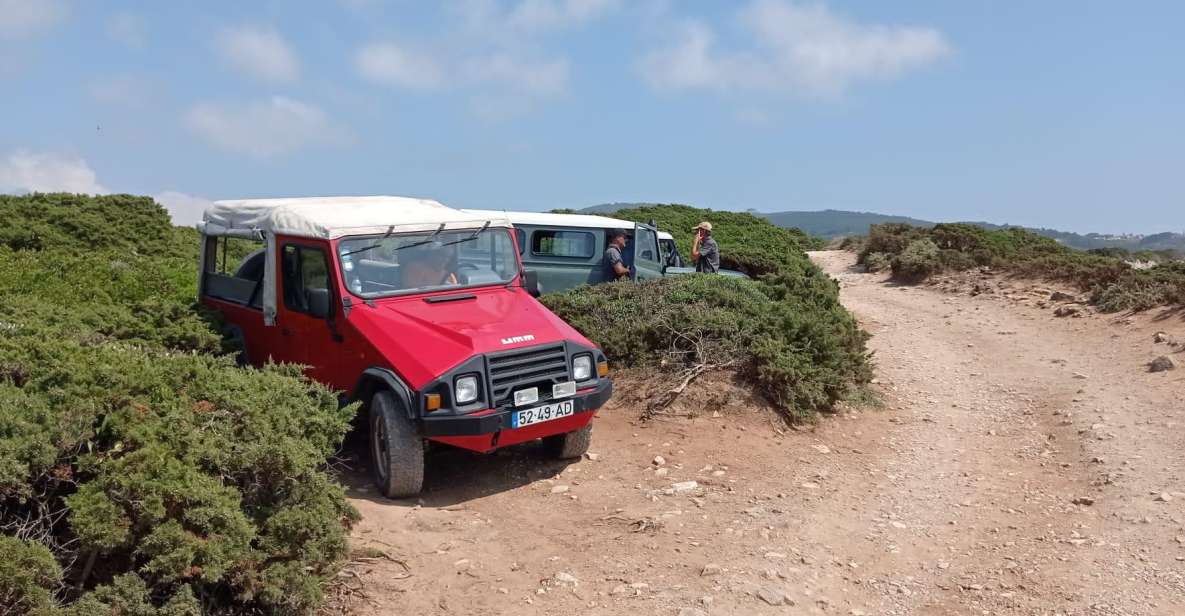 Amazing Sintra Tour - Booking Information