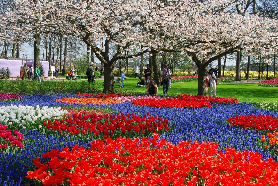 Amsterdam: Canal Cruise & Keukenhof Ticket With Shuttle Bus - Experience Highlights