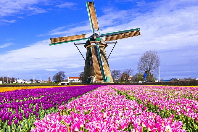 Amsterdam Highlights & Zaanse Schans Private Tour - Tour Highlights and Inclusions