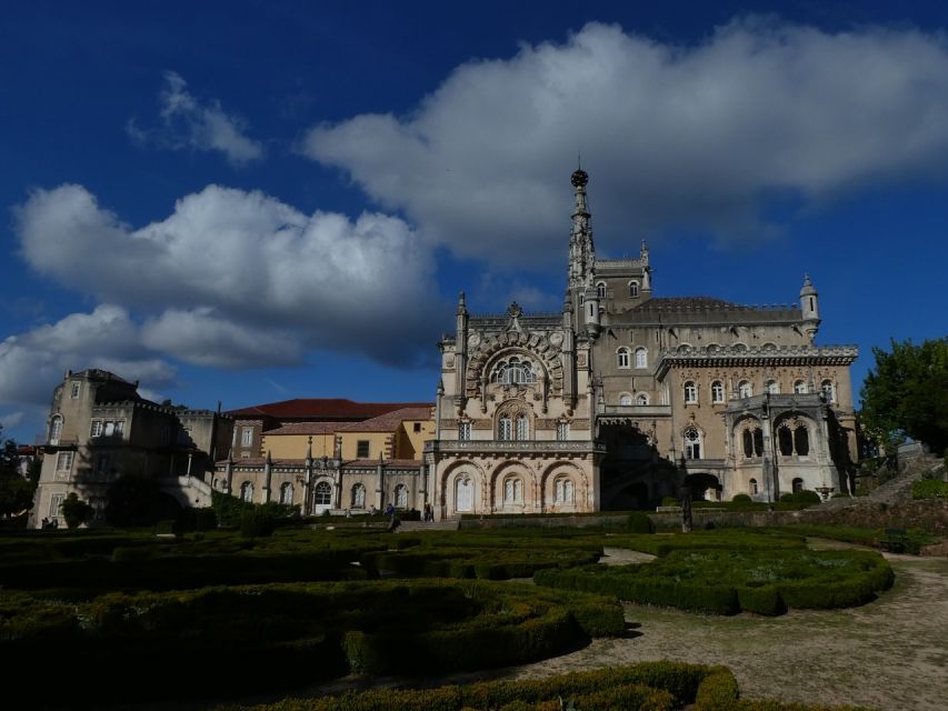 An Adventure Through the Forest and Palace of Bussaco - Coim - Experience and Exploration Activities