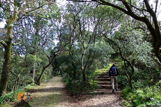 An Adventure Through the Forest and Palace of Bussaco - Coimbra - Reviews and Ratings