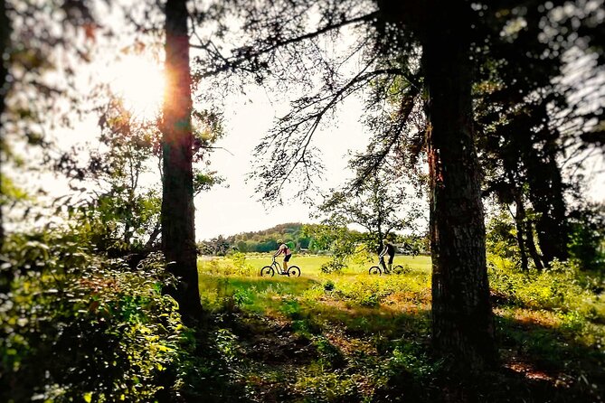 An All-Terrain Electric Scooter Excursion in Génissieux - Gear Up for an Outdoor Adventure