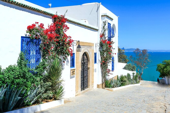 Ancient Carthage and Sidi Bou Said Half Day Tour With Lunch - Itinerary Details