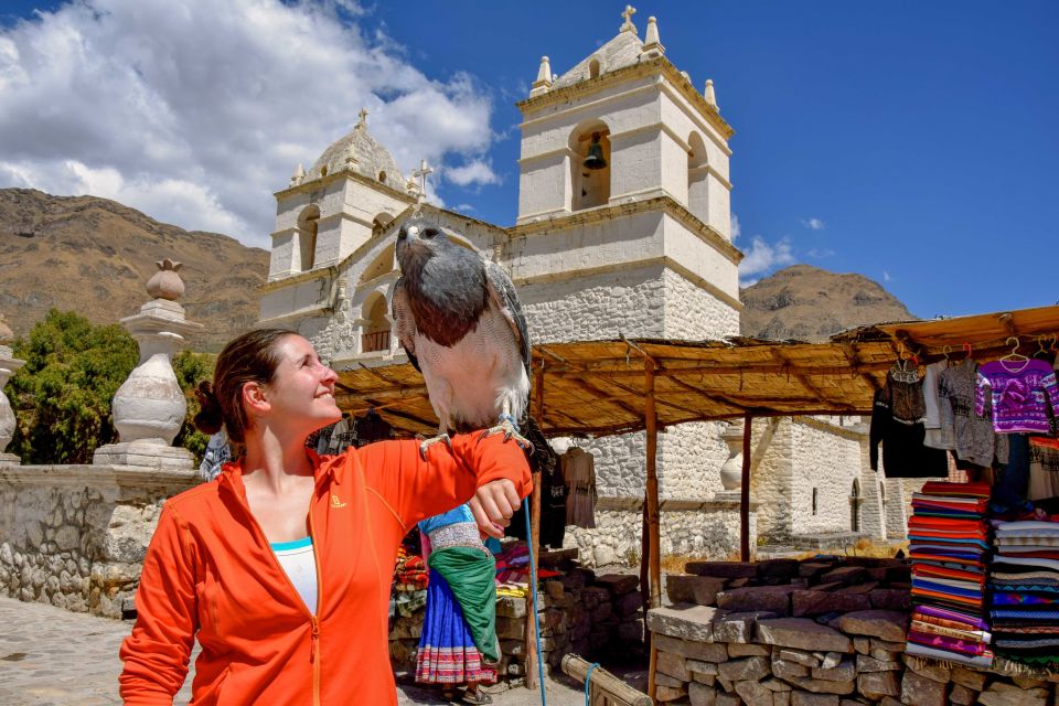 Andes: Colca Canyon Day-Trip - Review Summary of the Excursion