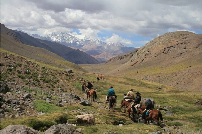 Andes Day Horseback Riding Tour and BBQ - Customer Reviews
