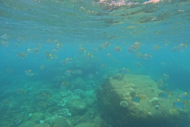 Angel Rock Snorkeling Site - Snorkeling Equipment Provided