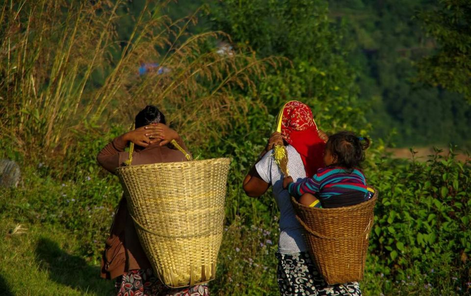 Annapurna Base Camp (ABC) - 8 Days - Day 1: Kathmandu to Pokhara