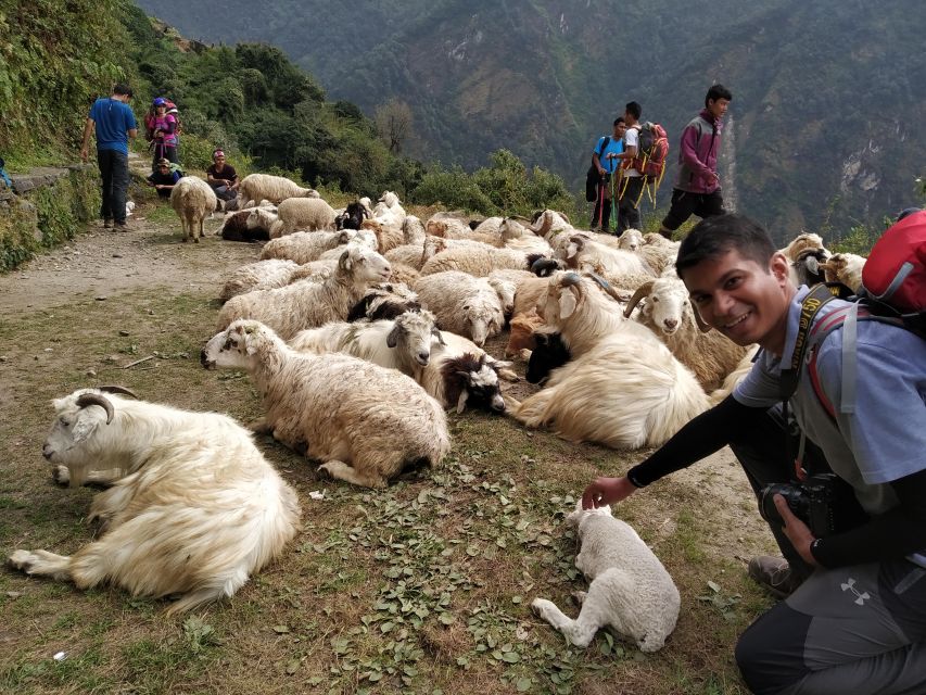 Annapurna Base Camp Trek via Poon Hill Starting From Pokhara - Starting Point and Route