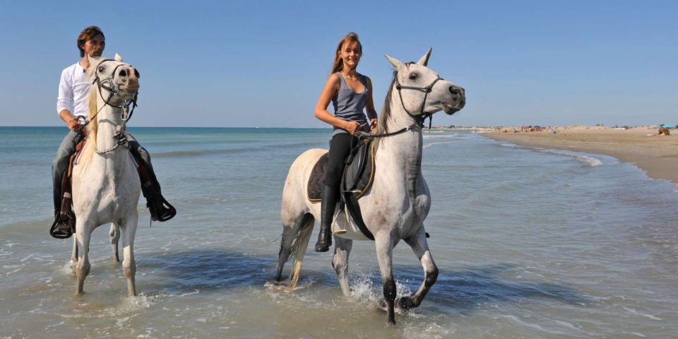 Antalya: Forest & Beach Horse Riding Safari - Experience Highlights