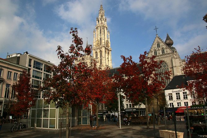 Antwerp Like a Local: Customized Private Tour - Reviews and Feedback