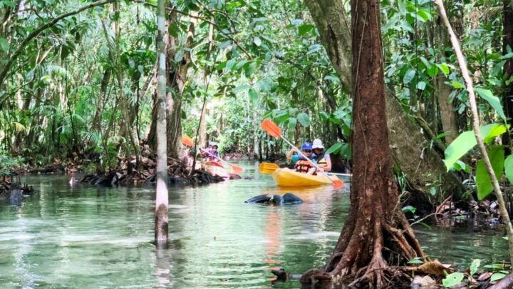 Ao Nang : Kayaking at Klong Rud - Experience Highlights