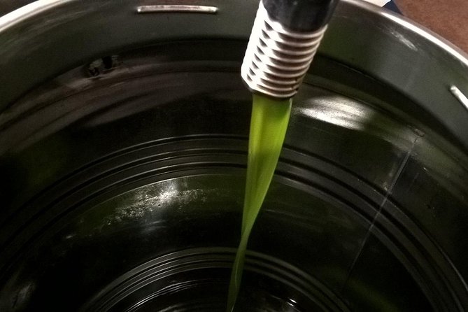 Apprentice Olive Oil Taster for a Day! - Detailed Logistics Information
