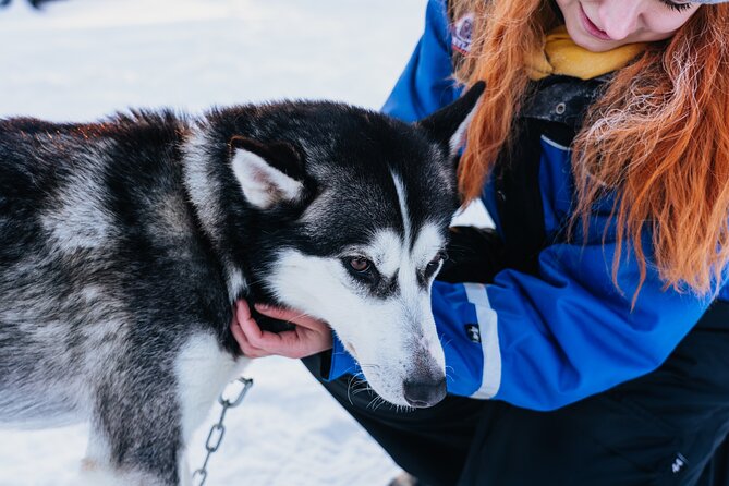 Apukka Husky Adventure in Rovaniemi - Logistics, Meeting Point, and Policies