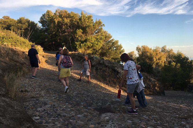 Archaeological Excursion to the Rocca Della Falconiera in Ustica - Expert Insights on Archaeological Discoveries