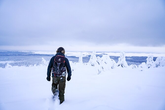 Arctic Adventure Through Magical Frozen Forests of Riisitunturi - What to Pack for the Frozen Forests