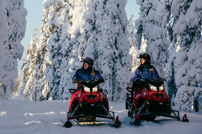 Arctic Circle Snowmobile Safari for Beginners in Rovaniemi - Customer Reviews and Feedback
