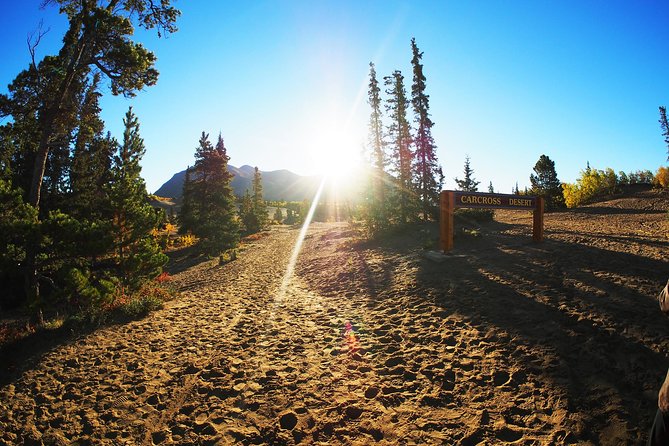 Arctic Day: Carcross & Southern Lakes Hiking Tour Full Day - Itinerary Details