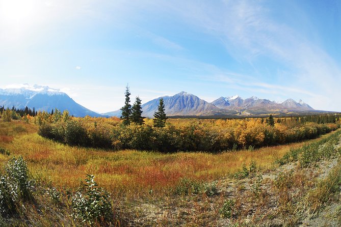 Arctic Day: Kluane National Park Tour Full Day - Meeting Point and Pickup