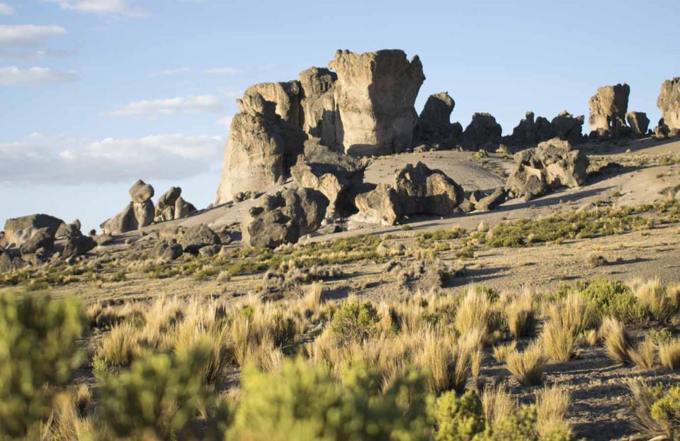 Arequipa: Pillones Waterfalls and Stone Forest Full Day - Booking Details