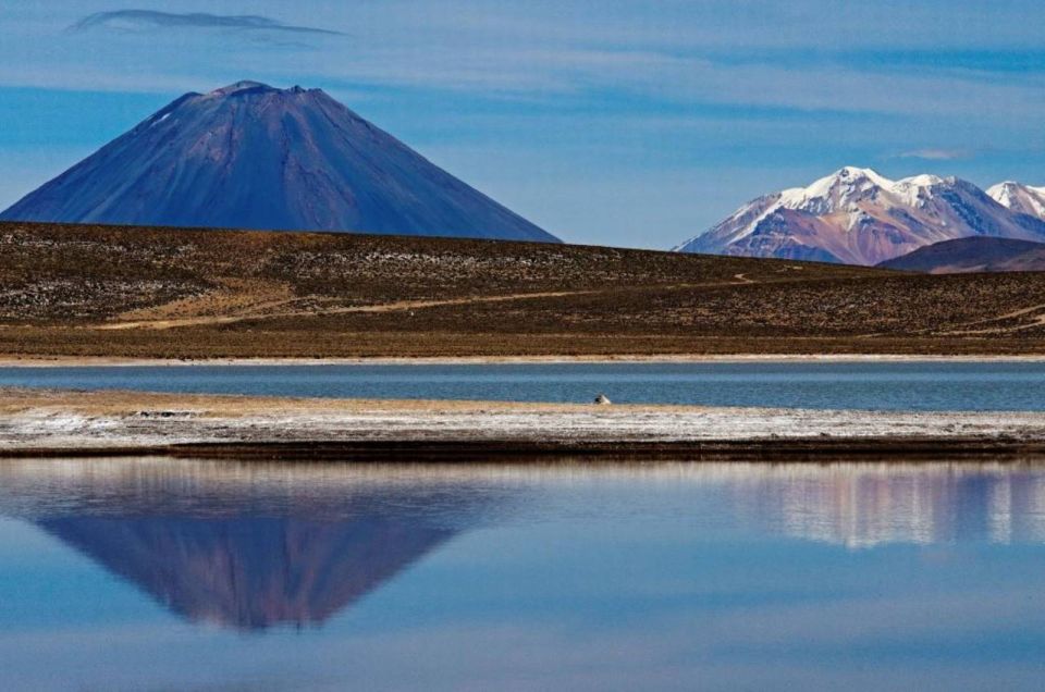 Arequipa: Reserve of Salinas and Aguada Blanca-Lojen Volcano - Logistics and Itinerary