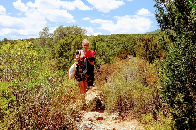 Arrábida Snorkeling Adventure With Transfer From Lisbon - Tour Inclusions