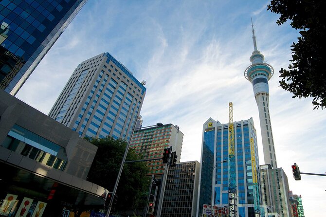 Arrival Private Transfer From Auckland Airport AKL to Auckland in Luxury Van - Booking Information