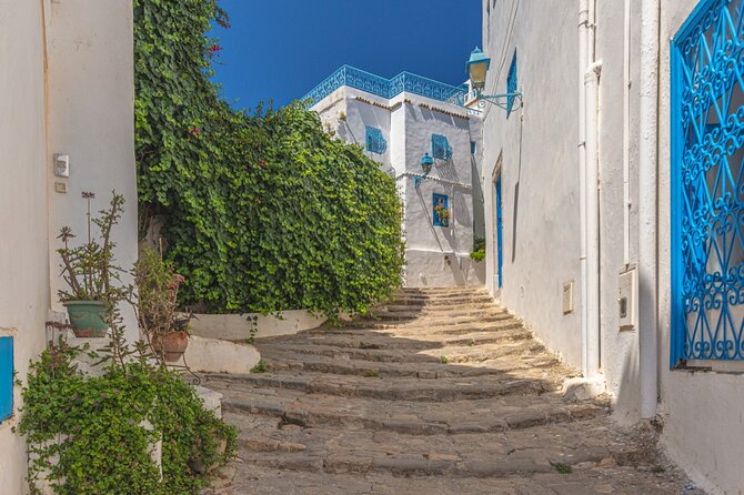 Artistic Sidi Bou Said Walking Tour - Historical Landmarks