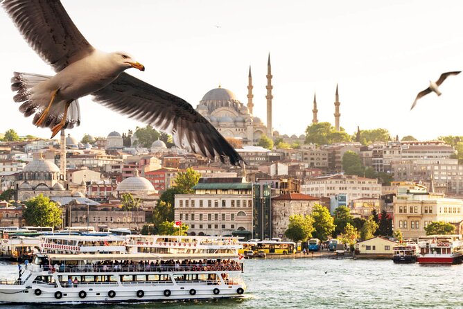 Asian Side of Istanbul Tour - Half-Day Small Group Tour - Meeting and Pickup Details