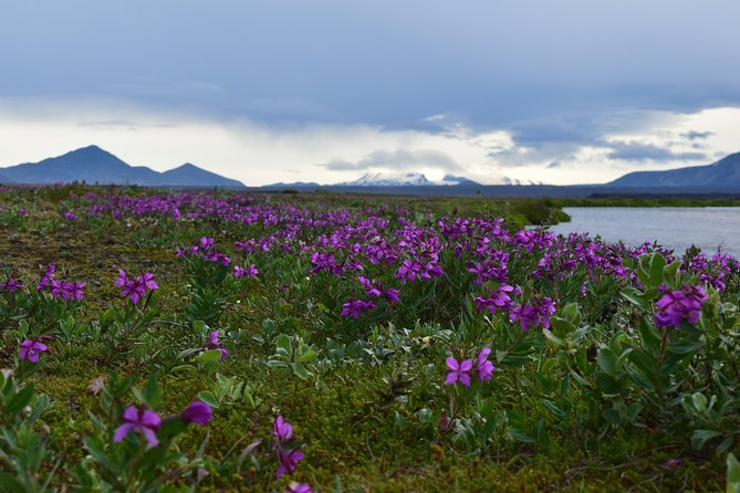 Askja the Caldera - My Favorite Day Tour - Tour Experience Highlights