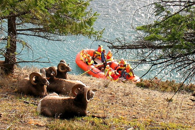 Athabasca River Easy Scenic Raft Trip - Support and Assistance