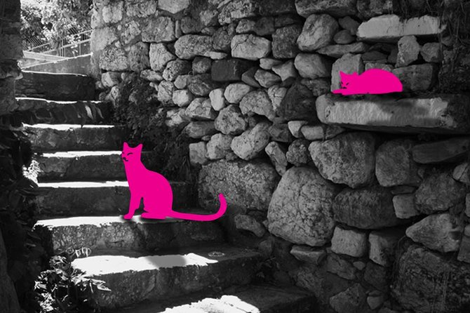 Athens: on the Prowl- Cats of Athens Plaka, Self-Guided Audio Tour on Your Phone - Booking Information